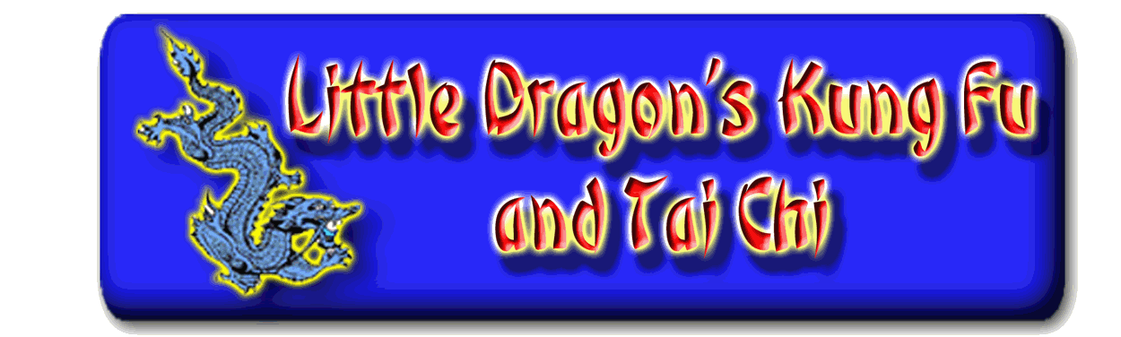 Little Dragons Kung-Fu and Tai Chi Classes
